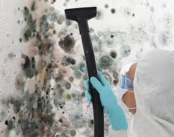 Best Environmental Consulting for Mold Prevention  in , FL